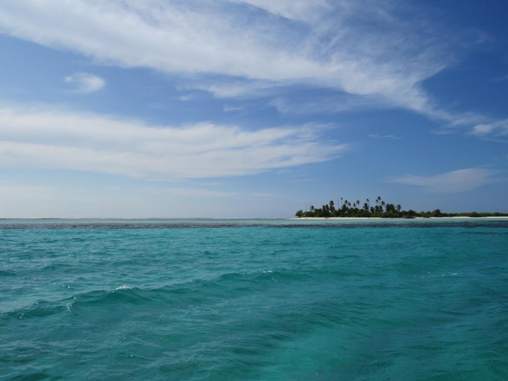 Small Island Lodge فادهو المظهر الخارجي الصورة